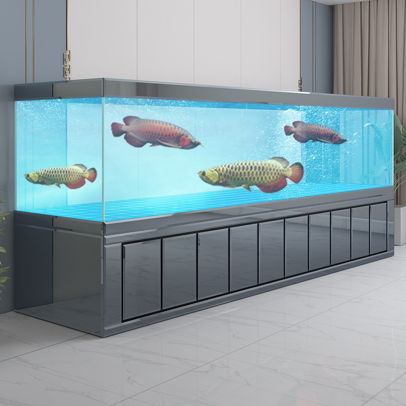 Aquarium Xxl - Akuarium ikan Jinlong besar untuk ruang