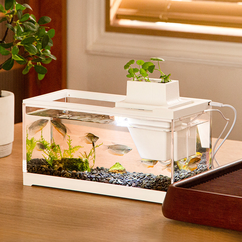 Aquarium Fish Goldfish - Kit Akuarium Ikan dengan Pompa Air,