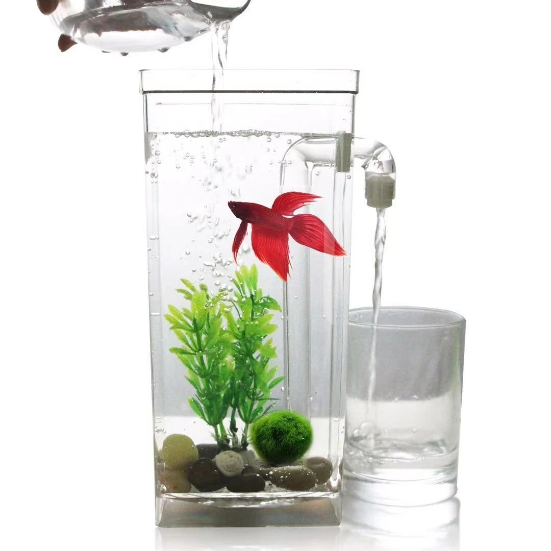 Aquarium Fish Goldfish - Kotak ikan cupang plastik kecil, aksesori