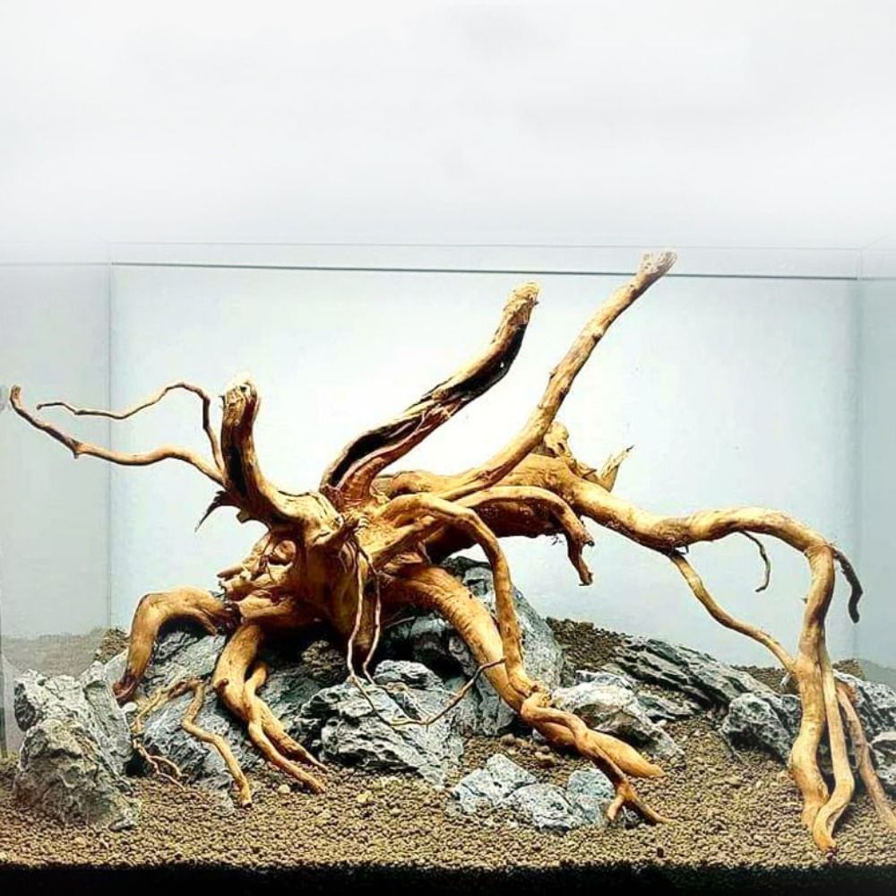 Aquarium Xxl - Kayu Apung Akuarium Besar 20-25CM, Dekorasi