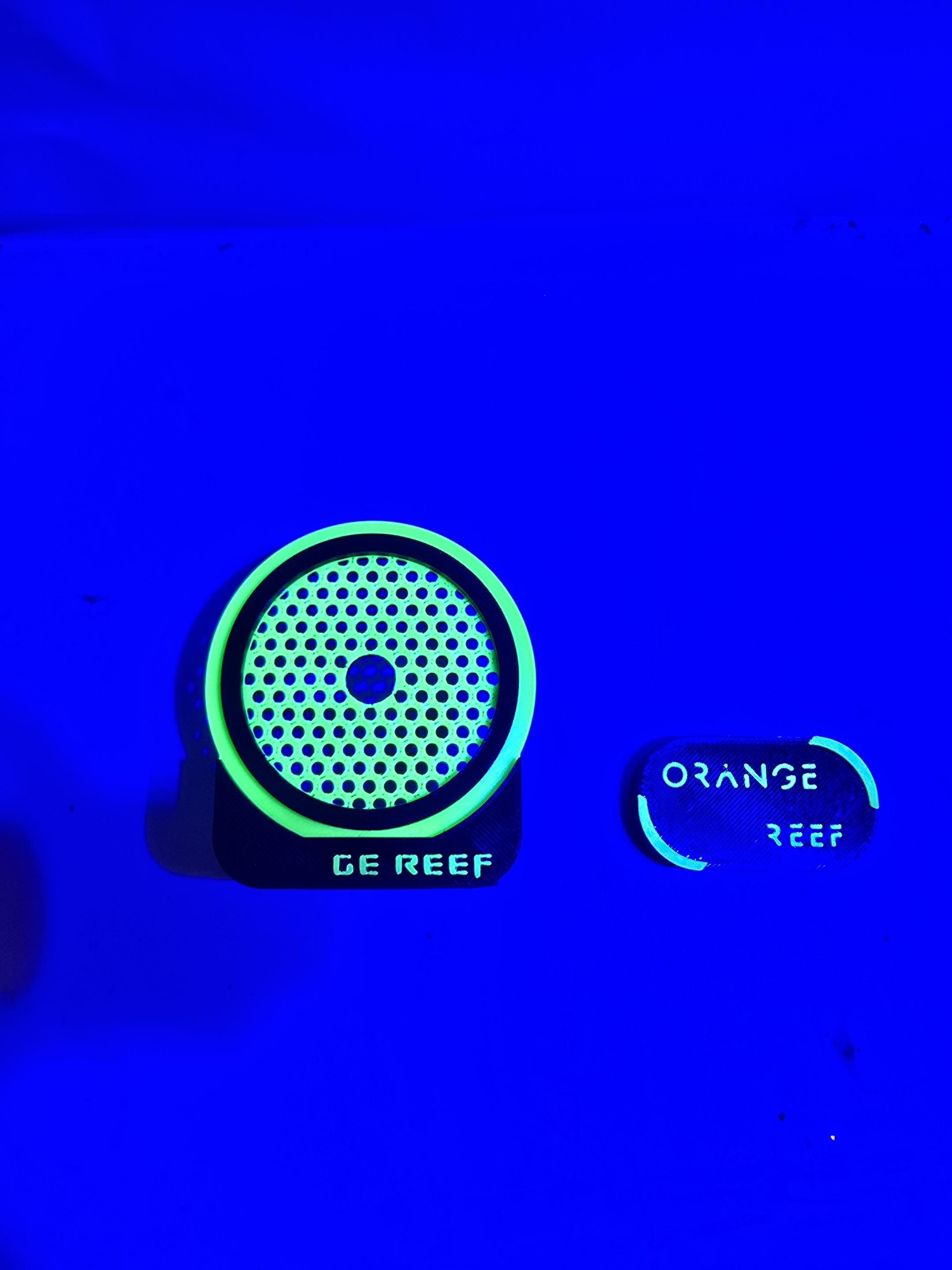 Aquarium Fish That Glow In The Dark - Penyangga Karang Magnetik Bercahaya dalam Gelap