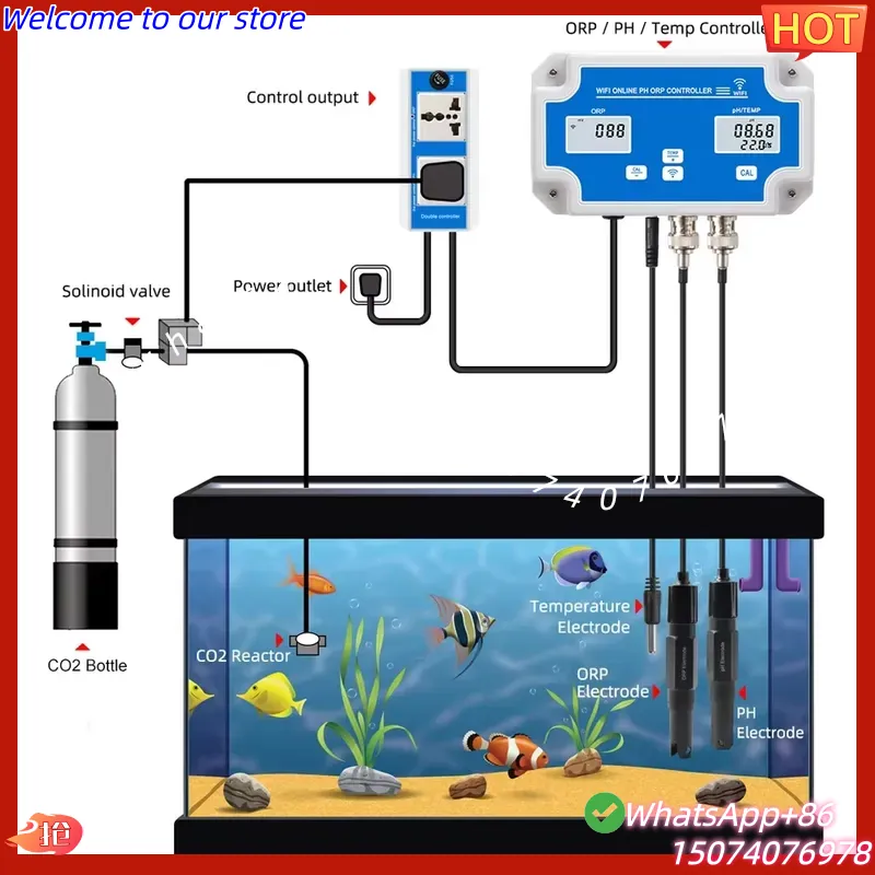 2026 Detektor Kontrol Online W - Aquarium Fish Online ulasan dan harga