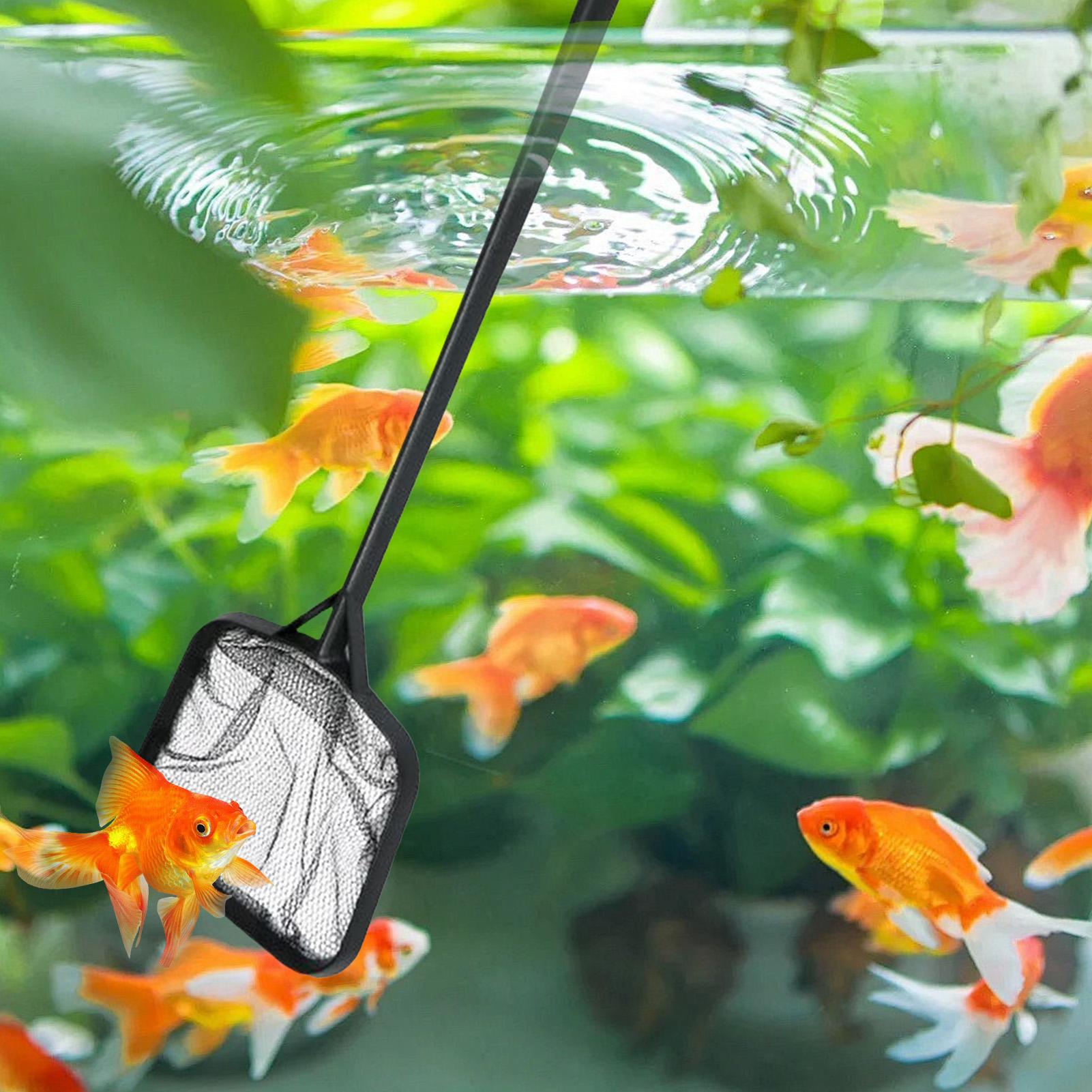Jaring Kolam Renang untuk Memb - Cleaner Fish Aquarium ulasan dan harga