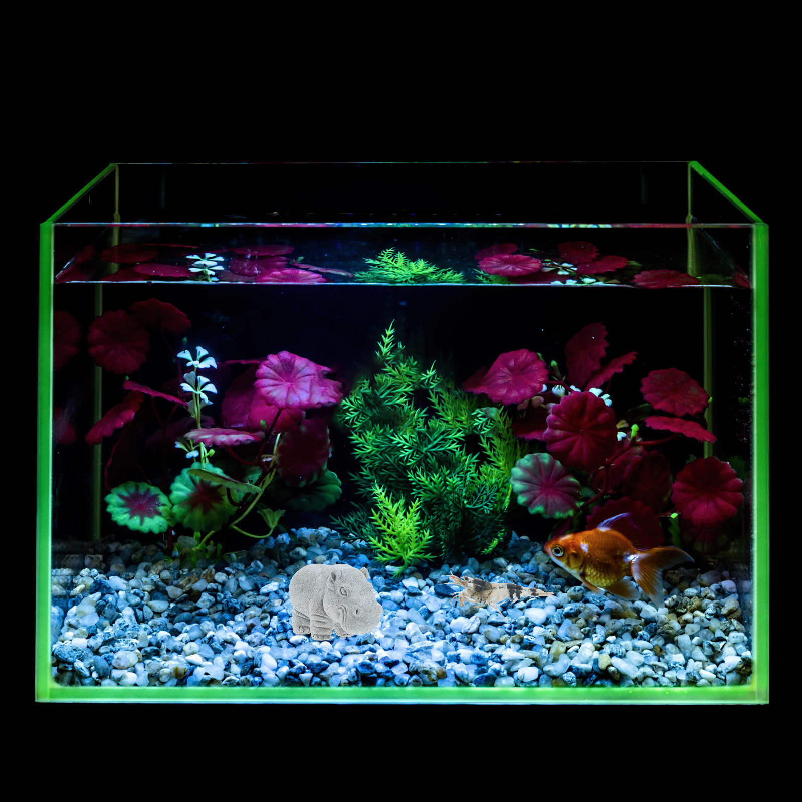 Figurin Kuda Nil Batu Unik unt - Aquarium Fish Unique ulasan dan harga