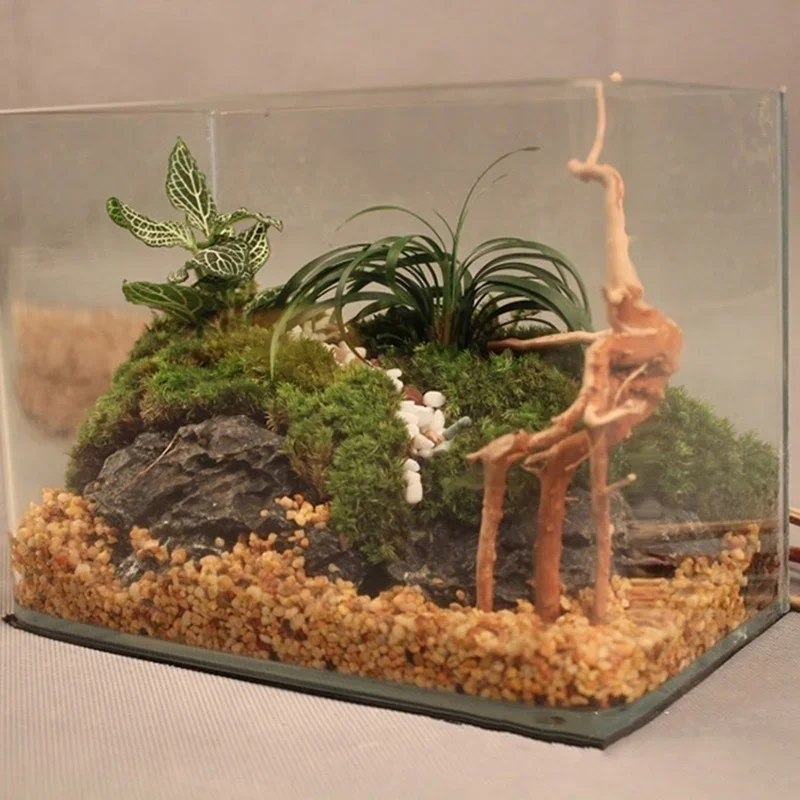 Pohon alami kayu apung akuariu - Aquarium Fish Hiding Places ulasan dan harga