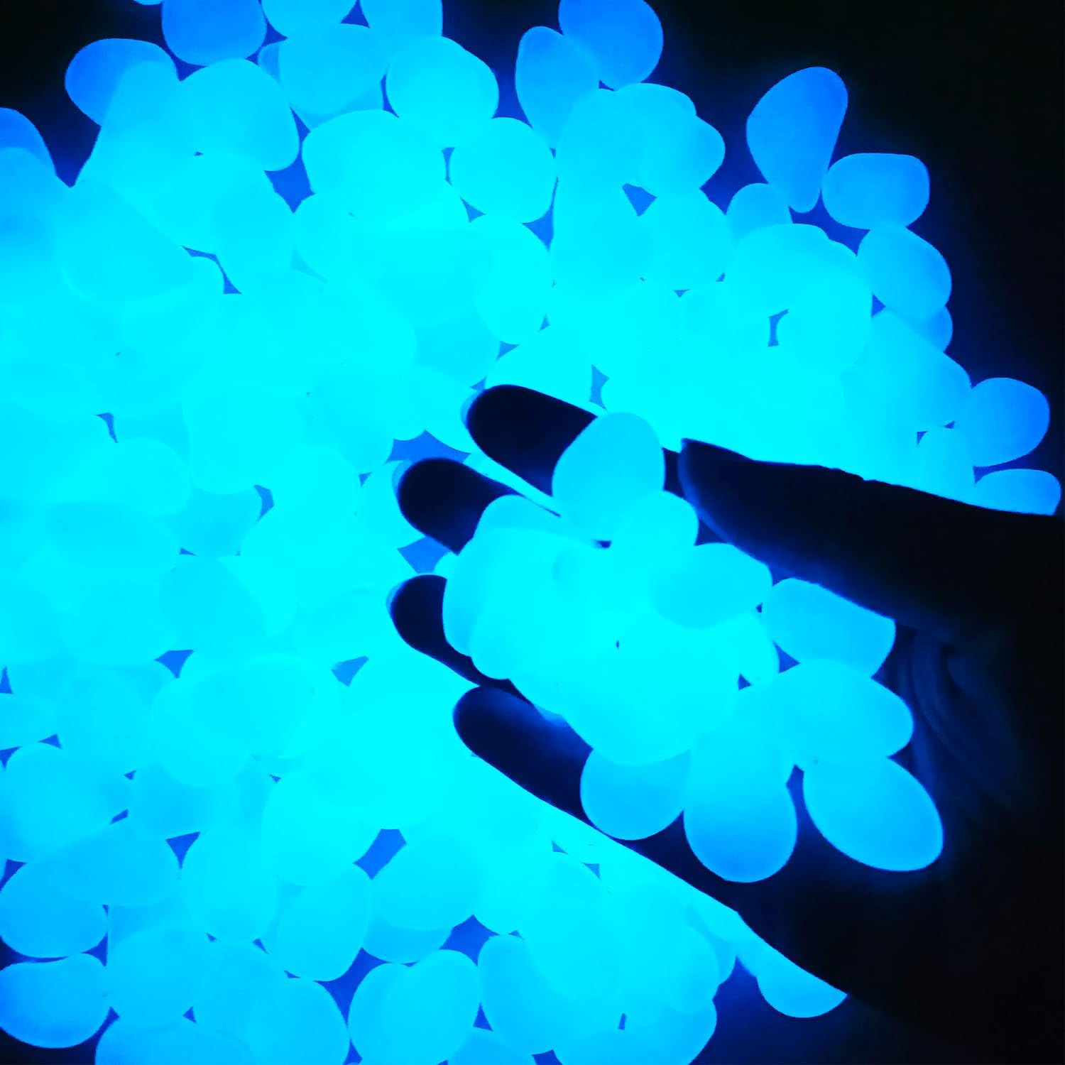 Batu taman dalam ruangan luar  - Aquarium Fish That Glow In The Dark ulasan dan harga