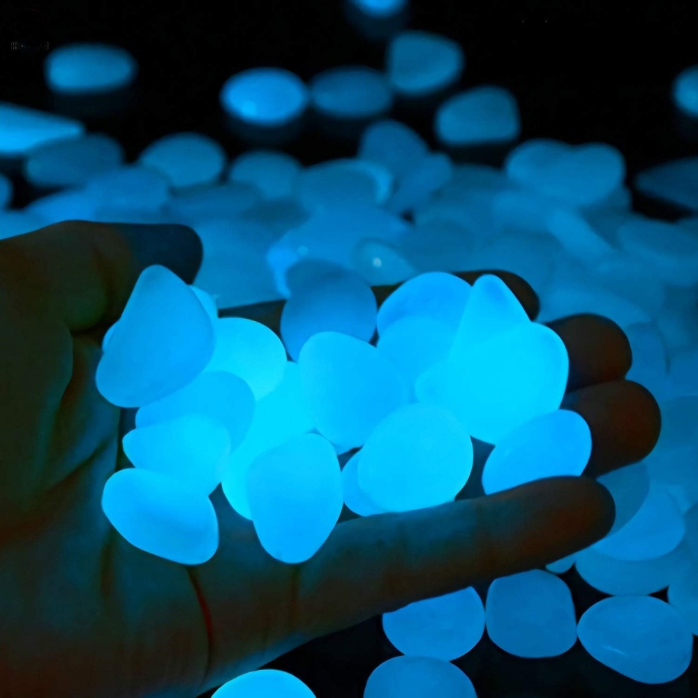 Batu taman dalam ruangan luar  - Aquarium Fish That Glow In The Dark ulasan dan harga