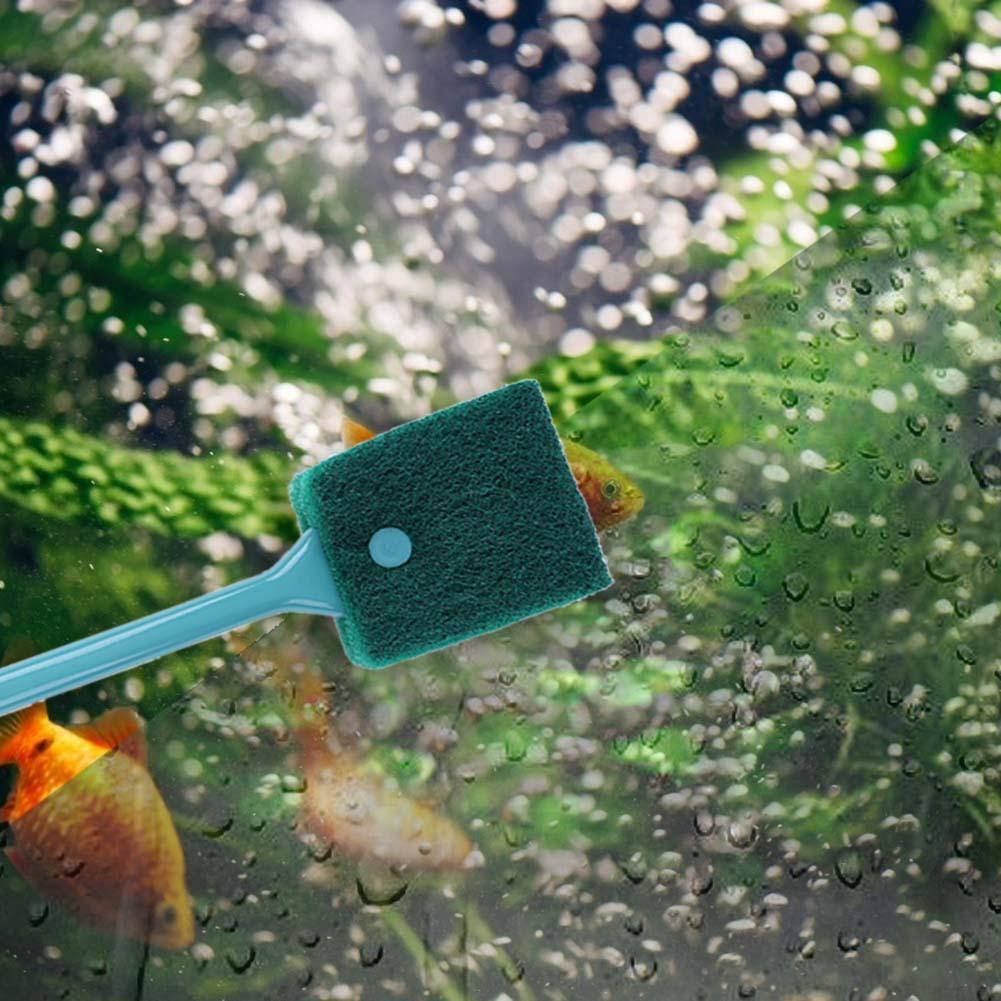 Pembersih Spons Akuarium Dua S - Cleaner Fish Aquarium ulasan dan harga