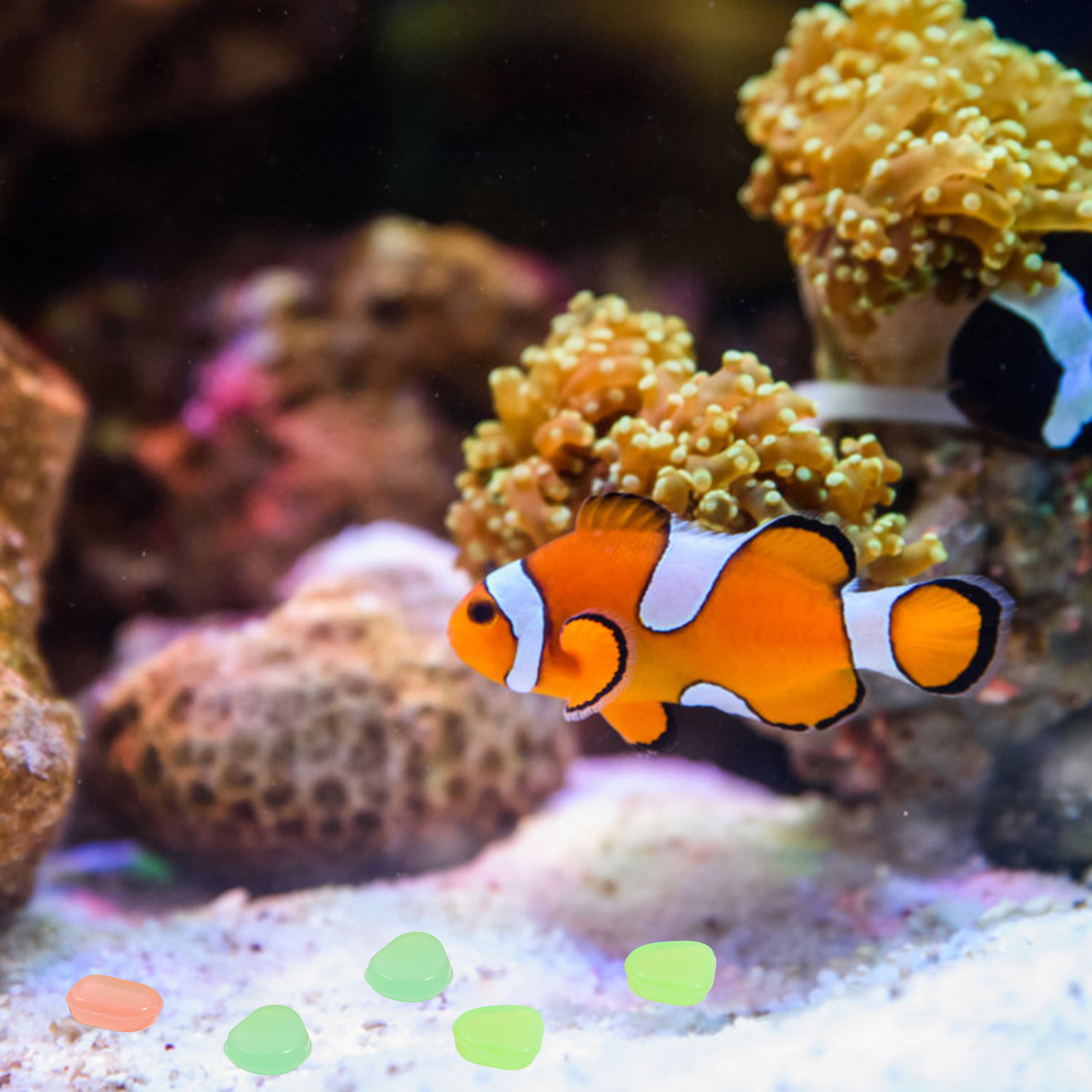 400 buah Batu Bercahaya Malam  - Aquarium Fish That Glow In The Dark ulasan dan harga