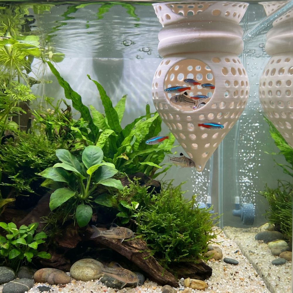 Tempat Persembunyian Ikan Apun - Aquarium Fish Hiding Places ulasan dan harga