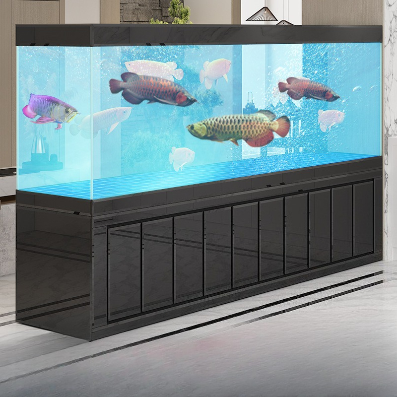 Akuarium ikan Jinlong besar un - Aquarium Xxl ulasan dan harga