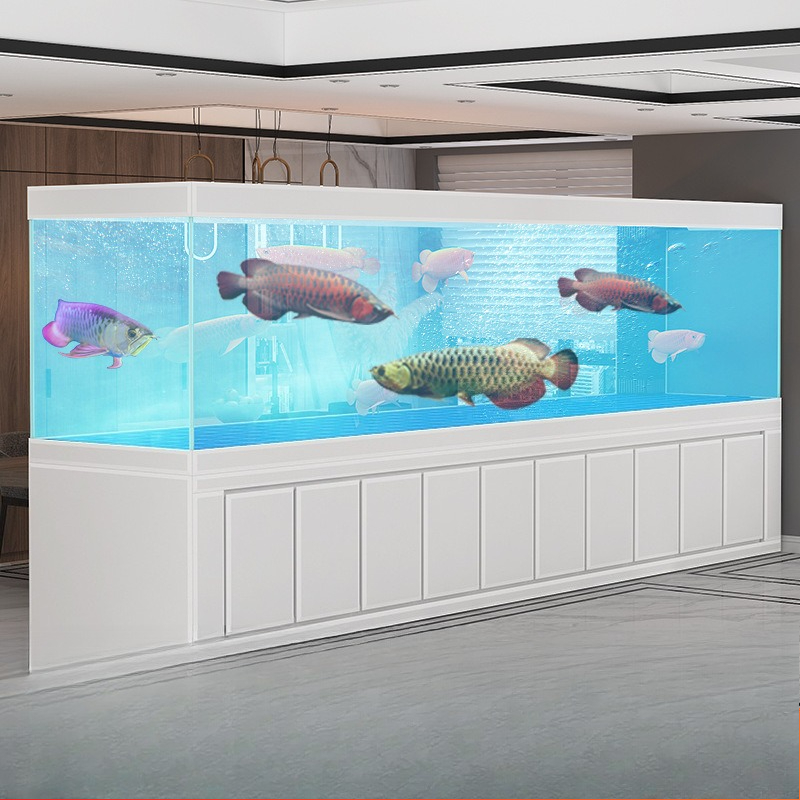 Akuarium ikan Jinlong besar un - Aquarium Xxl ulasan dan harga