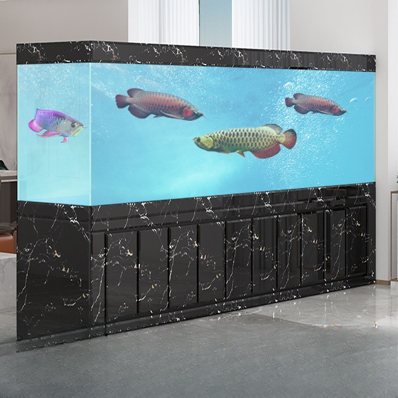 Akuarium ikan Jinlong besar un - Aquarium Xxl ulasan dan harga