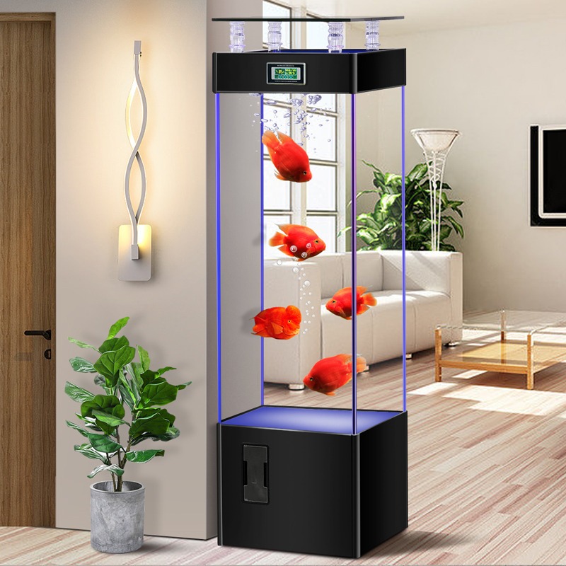 Akuarium ikan kaca ultra-jerni - Aquarium Fish Goldfish ulasan dan harga