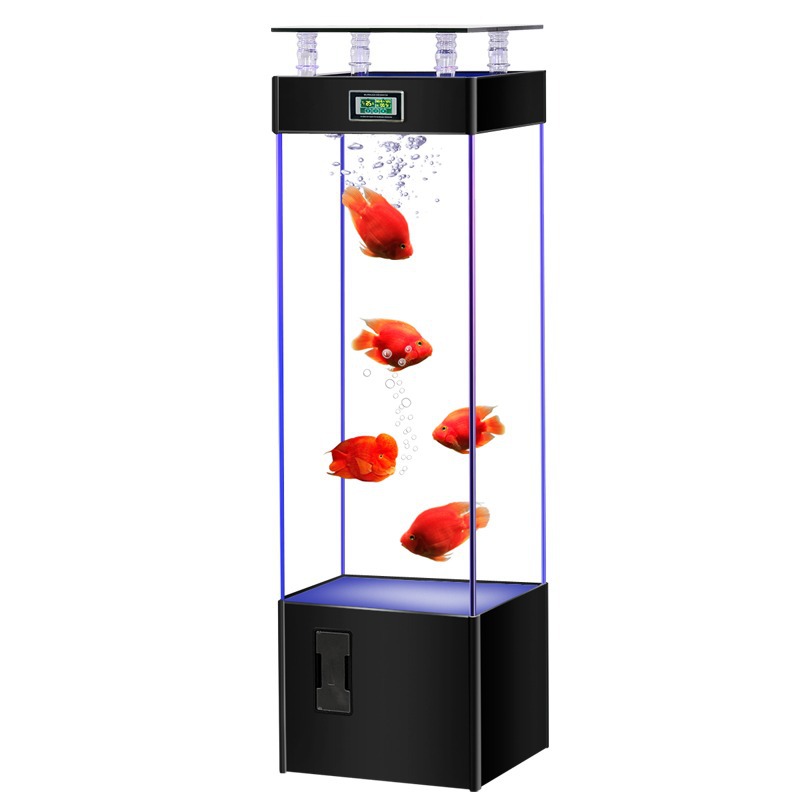 Akuarium ikan kaca ultra-jerni - Aquarium Fish Goldfish ulasan dan harga
