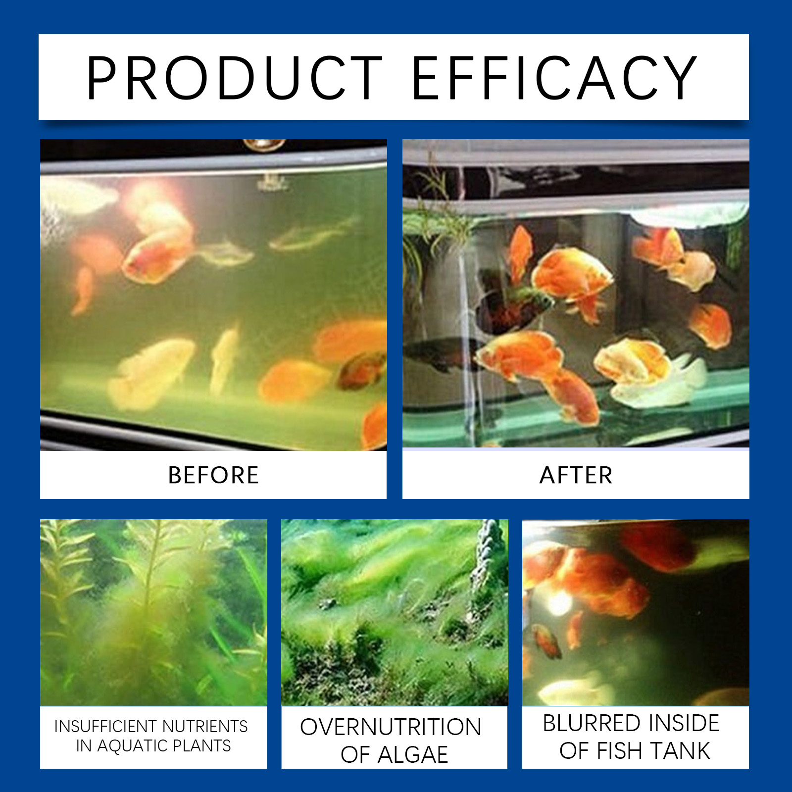 Klarifikasi Air Akuarium 100Ml - Cleaner Fish Aquarium ulasan dan harga