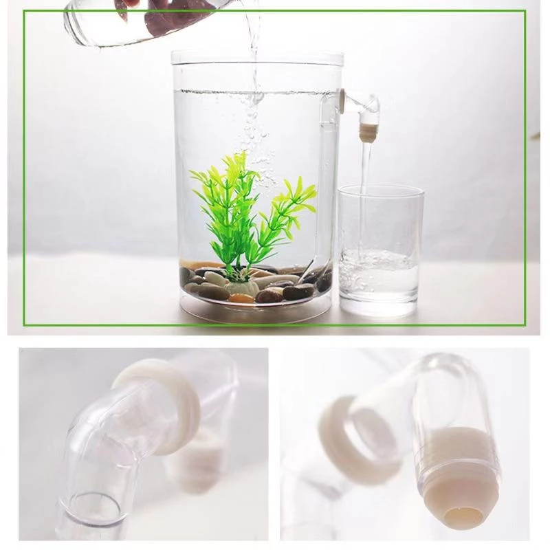 Kotak ikan cupang plastik keci - Aquarium Fish Goldfish ulasan dan harga