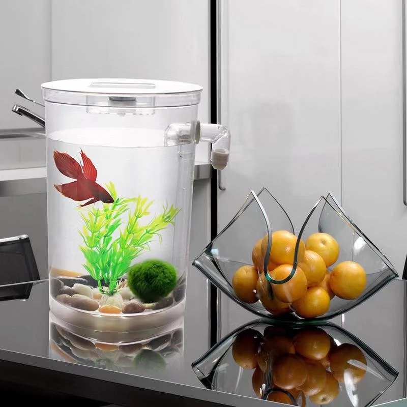 Kotak ikan cupang plastik keci - Aquarium Fish Goldfish ulasan dan harga