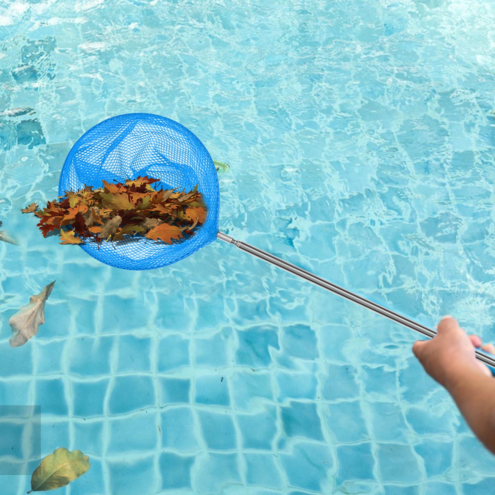 Jaring pembersih kolam renang  - Cleaner Fish Aquarium ulasan dan harga