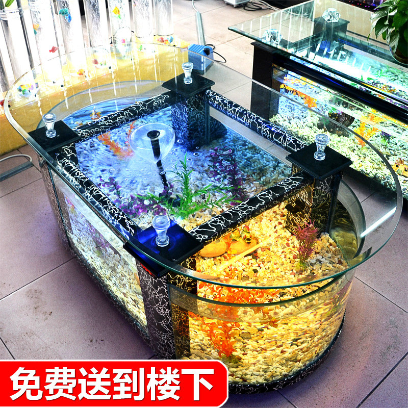 Akuarium meja kopi ekologis be - Aquarium Xxl ulasan dan harga