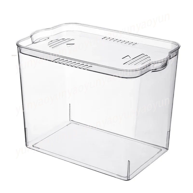 Mangkuk Akuarium Mini Transpar - Aquarium Fish Unique ulasan dan harga