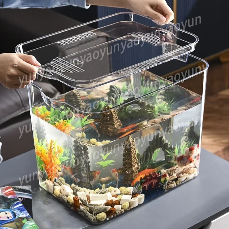 Mangkuk Akuarium Mini Transpar - Aquarium Fish Unique ulasan dan harga