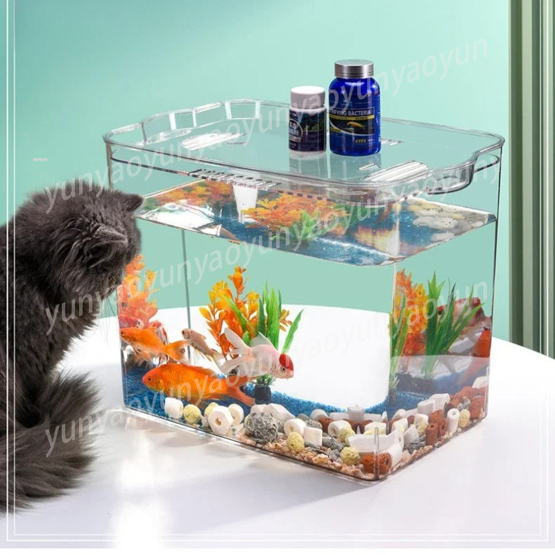 Mangkuk Akuarium Mini Transpar - Aquarium Fish Unique ulasan dan harga