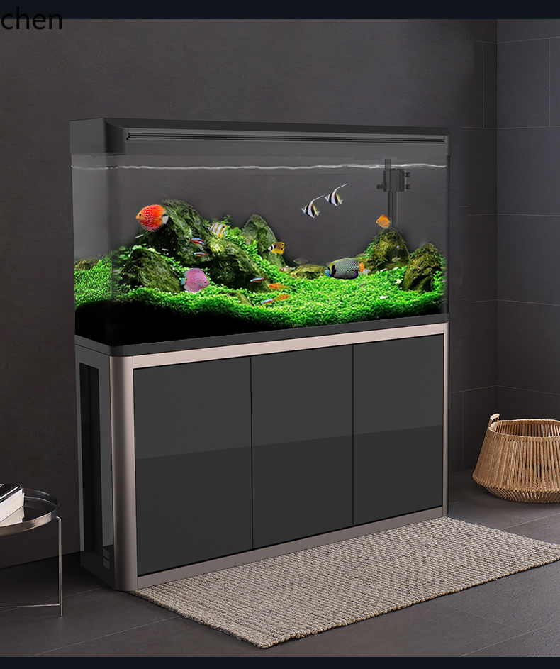 Akuarium CZ Ukuran Sedang untu - Aquarium Fish Goldfish ulasan dan harga