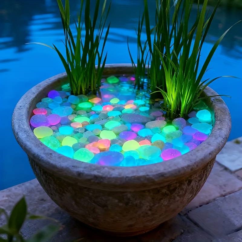 200 Buah Kerikil Taman Menyala - Aquarium Fish That Glow In The Dark ulasan dan harga