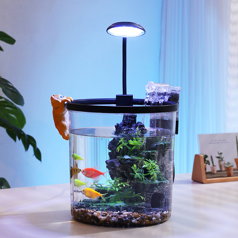 Akuarium Ikan Mas Bundar Kompa - Aquarium Fish Goldfish ulasan dan harga