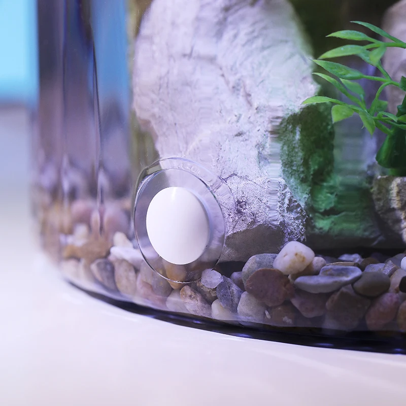 Akuarium Ikan Mas Bundar Kompa - Aquarium Fish Goldfish ulasan dan harga
