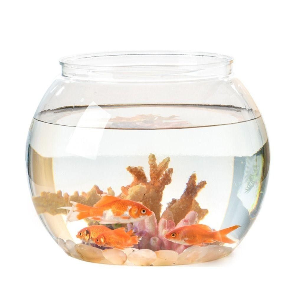 Akuarium Ikan Transparan Porta - Aquarium Fish Goldfish ulasan dan harga