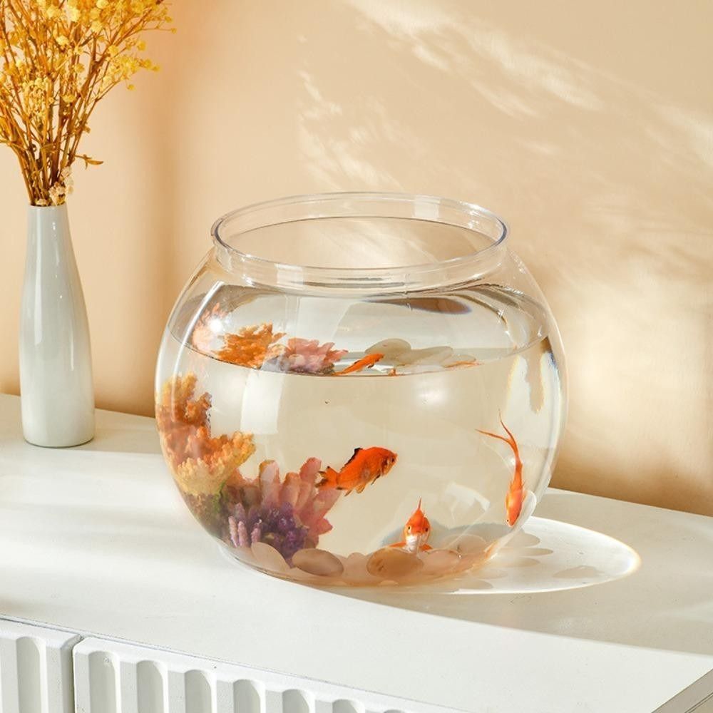 Akuarium Ikan Transparan Porta - Aquarium Fish Goldfish ulasan dan harga