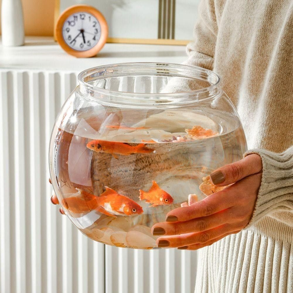 Akuarium Ikan Transparan Porta - Aquarium Fish Goldfish ulasan dan harga