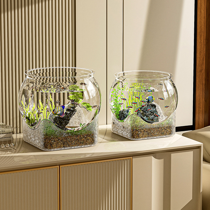 Akuarium Tangki Ikan Transpara - Aquarium Fish Goldfish ulasan dan harga