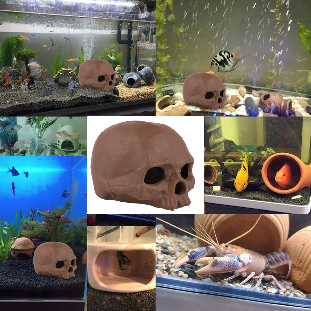 Ornamen Akuarium Desain Tengko - Aquarium Fish Unique ulasan dan harga