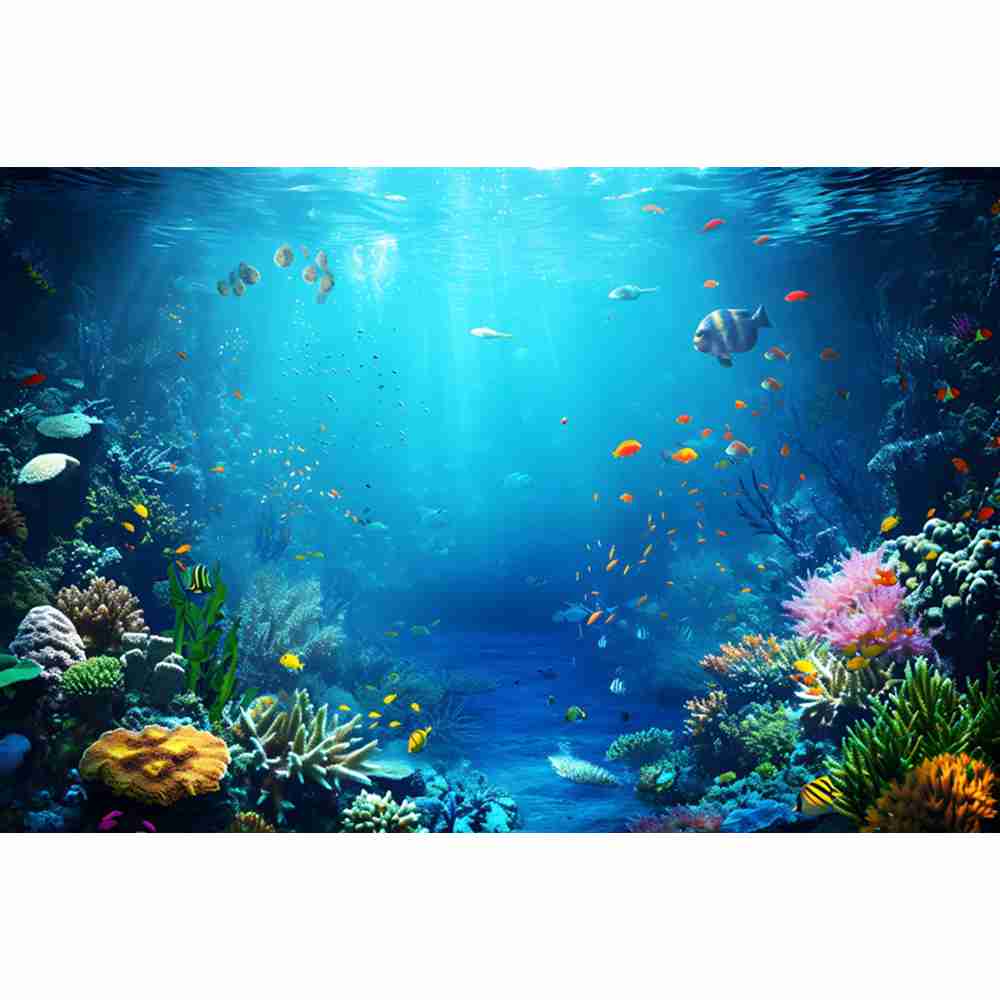 Latar Belakang Fotografi Dunia - Aquarium Fish Dolphin ulasan dan harga