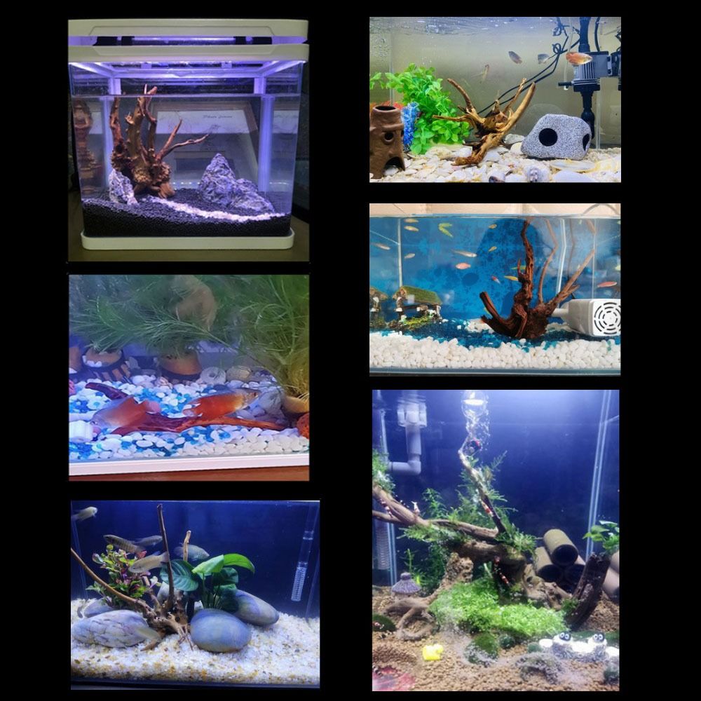 Kayu Apung Akuarium Besar 20-2 - Aquarium Xxl ulasan dan harga