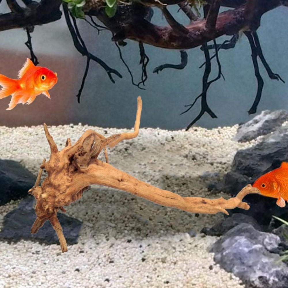 Kayu Apung Akuarium Besar 20-2 - Aquarium Xxl ulasan dan harga
