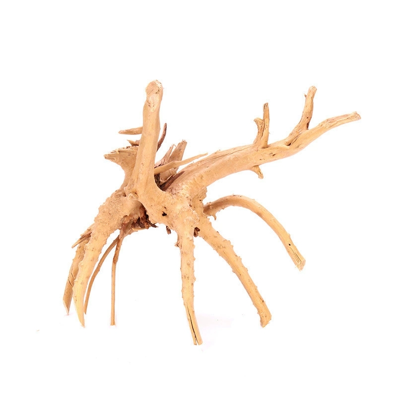 Cabang Kayu Apung Alami 25-30C - Aquarium Fish Unique ulasan dan harga