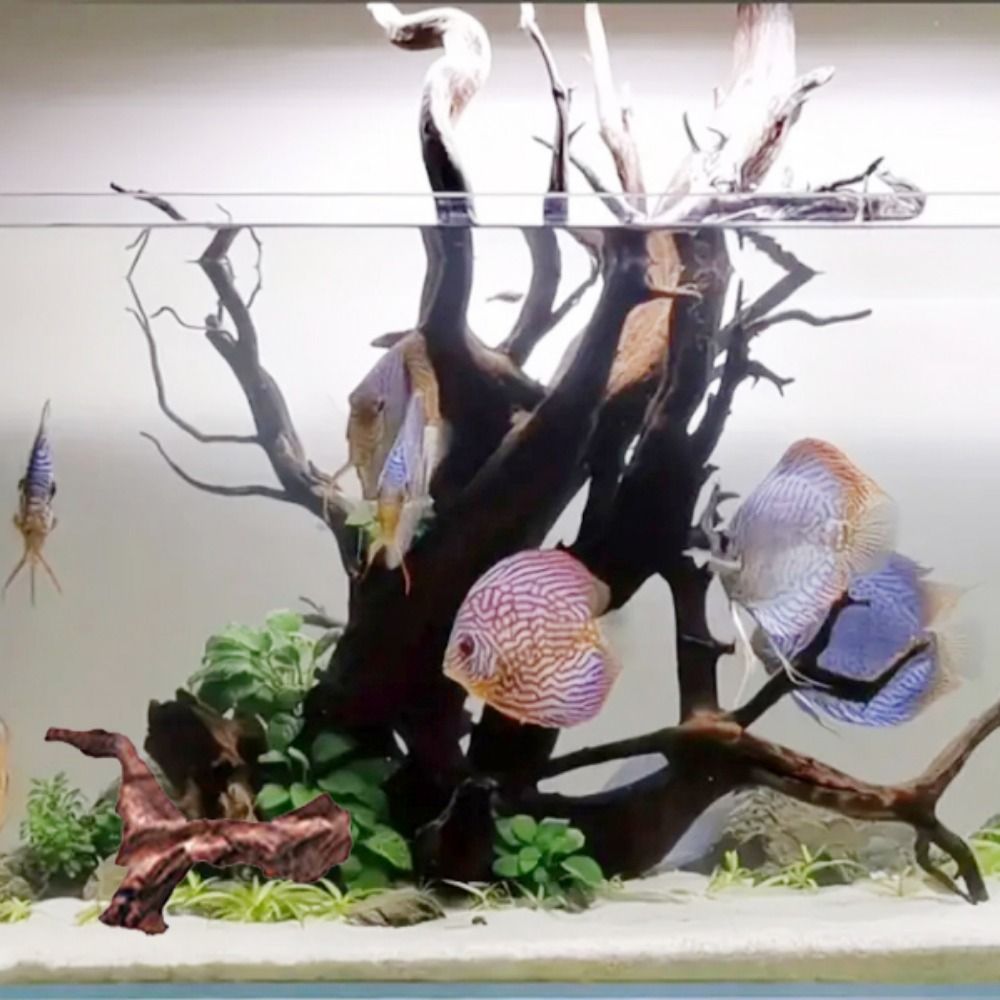Kayu Karang Bentuk Tidak Berat - Aquarium Fish Hiding Places ulasan dan harga