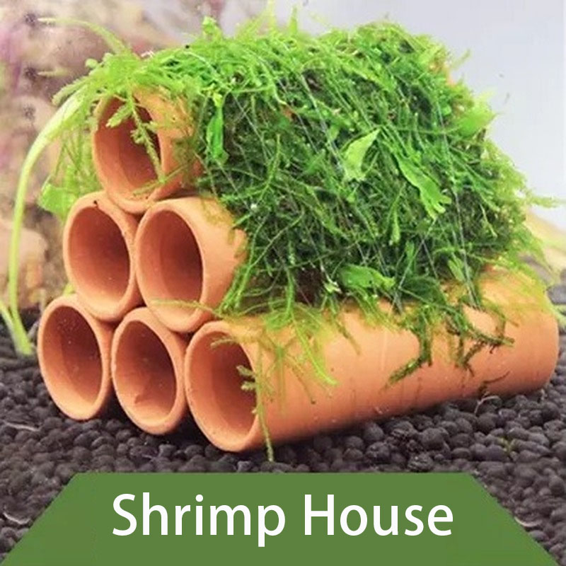 Dekorasi Akuarium Tanah Liat U - Aquarium Fish Hiding Places ulasan dan harga