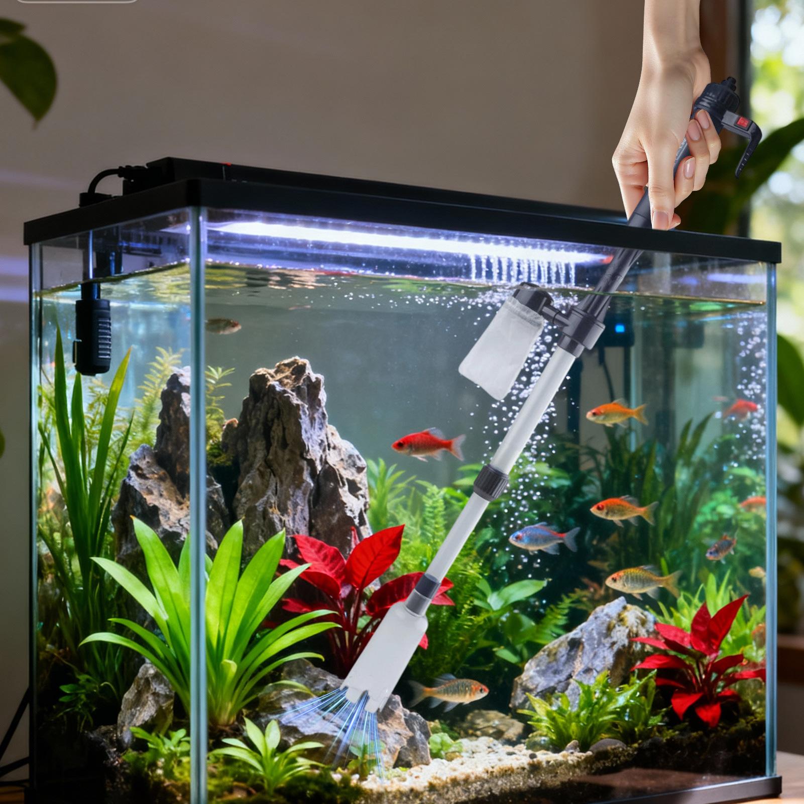 Pembersih Kerikil Akuarium Ele - Cleaner Fish Aquarium ulasan dan harga