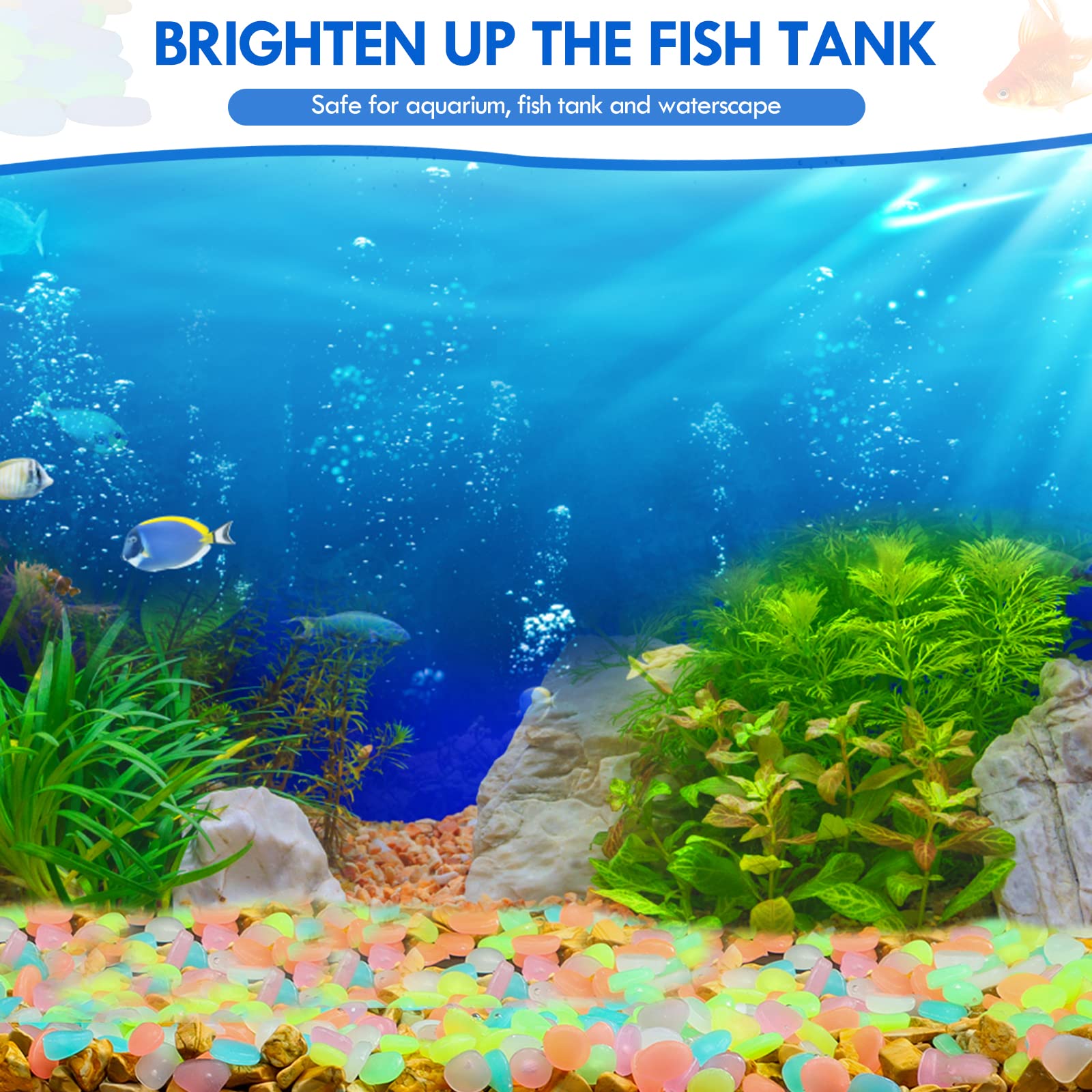 100 buah kerikil taman menyala - Aquarium Fish That Glow In The Dark ulasan dan harga