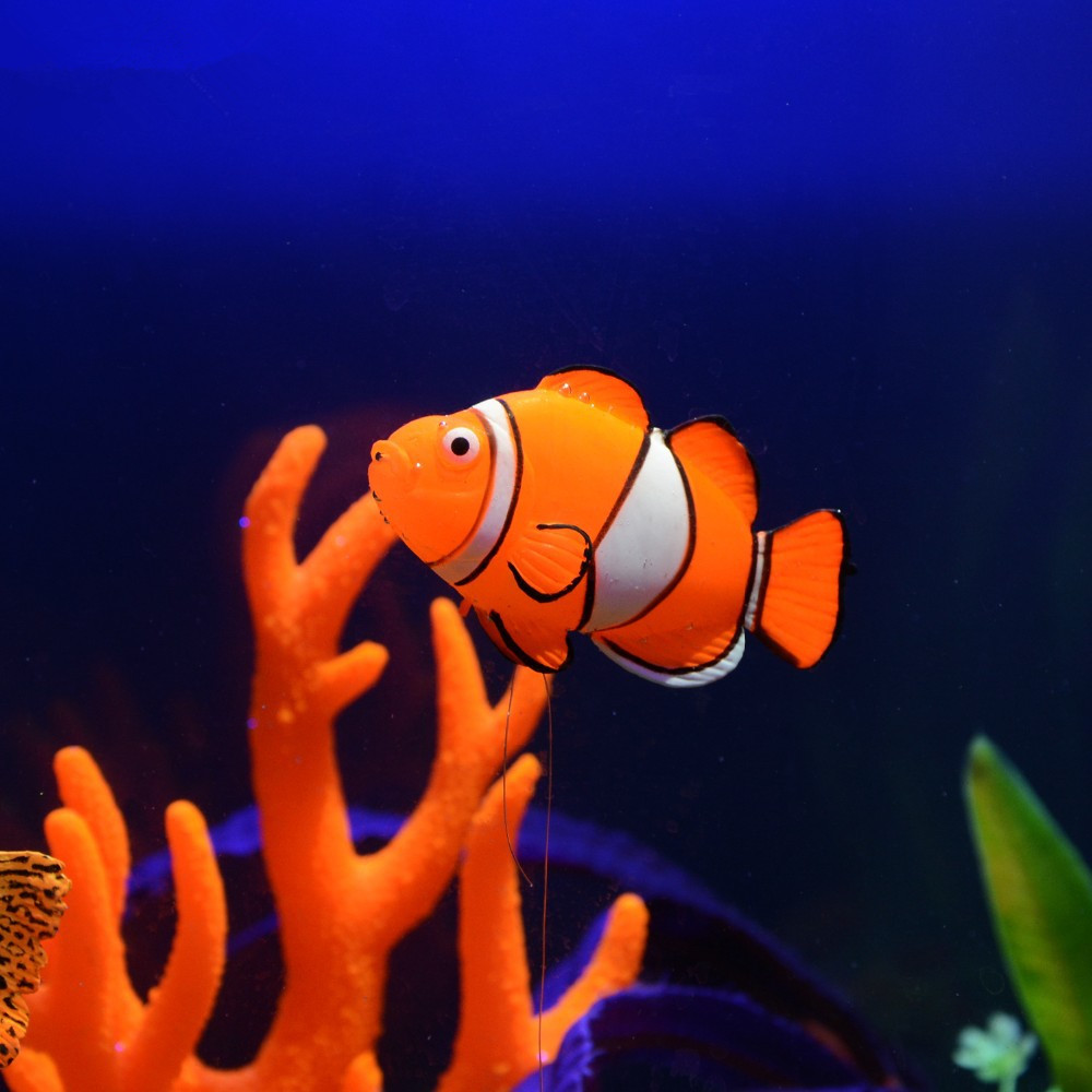 Dekorasi Akuarium Ikan Silikon - Aquarium Fish That Glow In The Dark ulasan dan harga