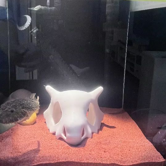 Tempat Persembunyian Tersembun - Aquarium Fish Hiding Places ulasan dan harga