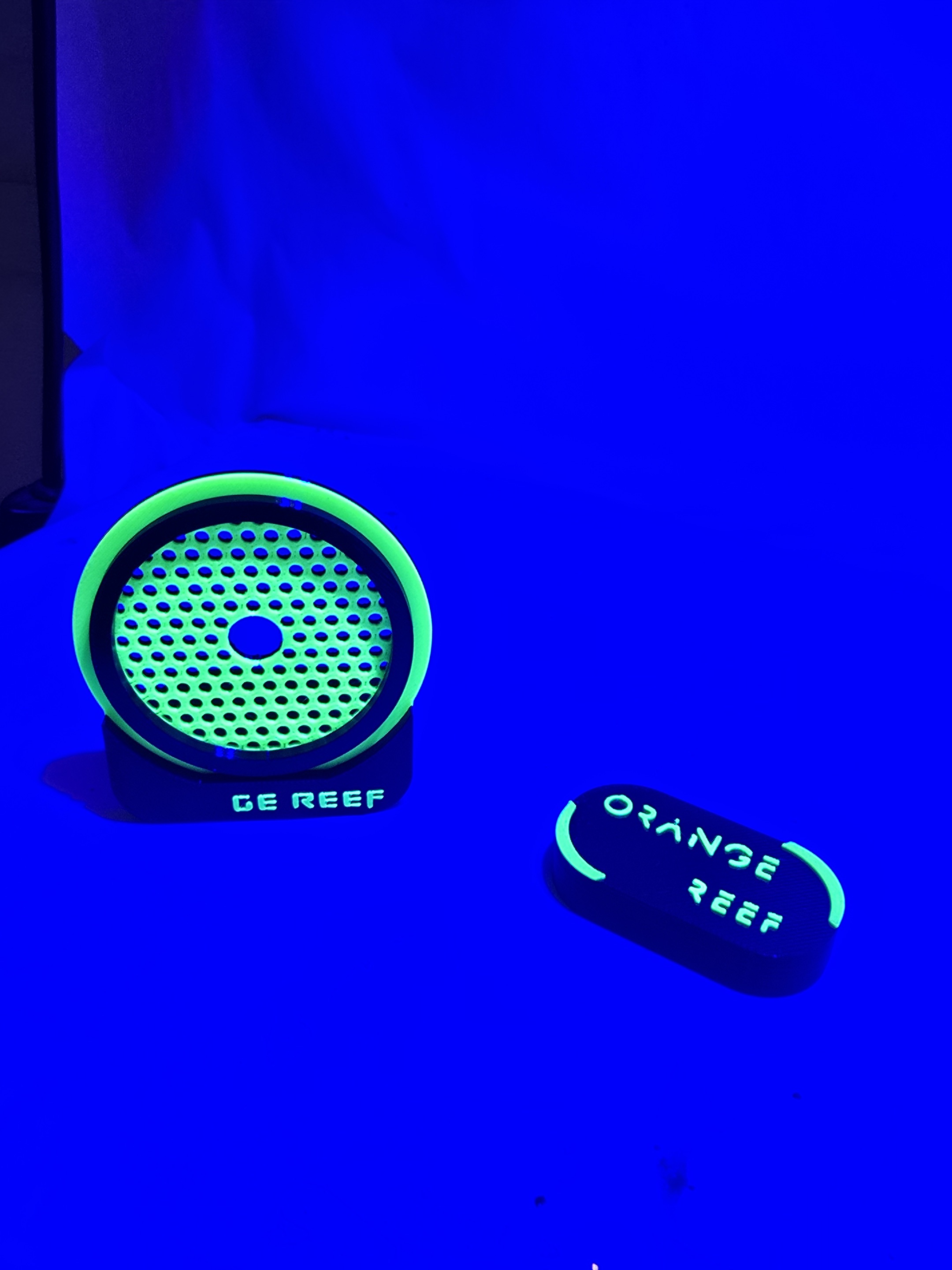Penyangga Karang Magnetik Berc - Aquarium Fish That Glow In The Dark ulasan dan harga