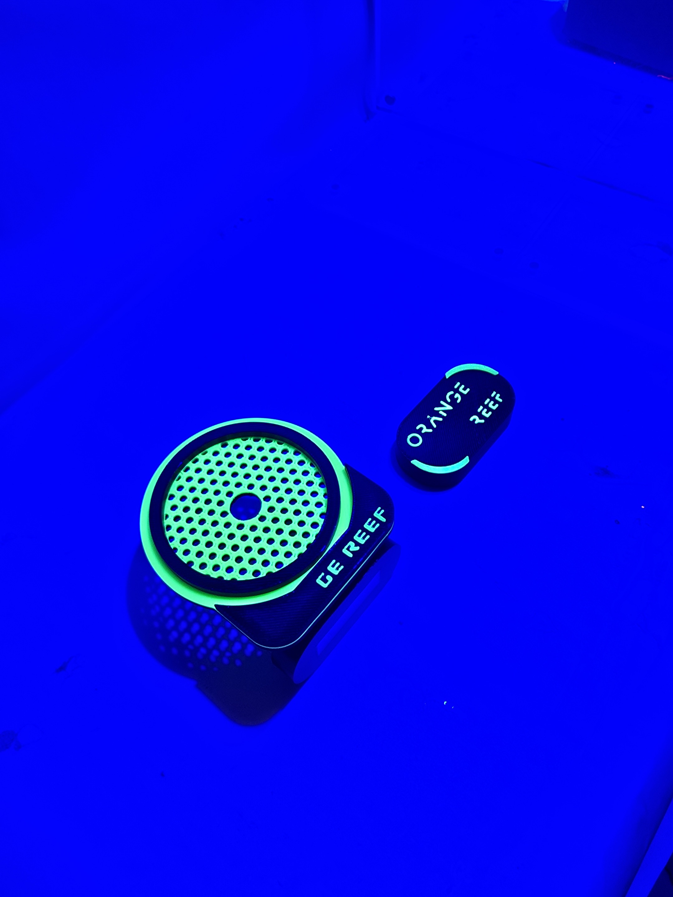 Penyangga Karang Magnetik Berc - Aquarium Fish That Glow In The Dark ulasan dan harga